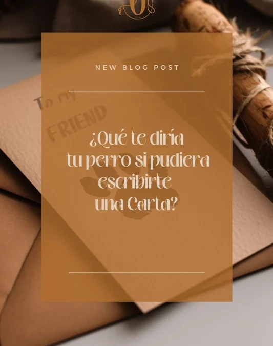 Carta de un perro a su cuidador