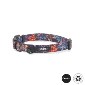 Collar BASIC - Magic Forest