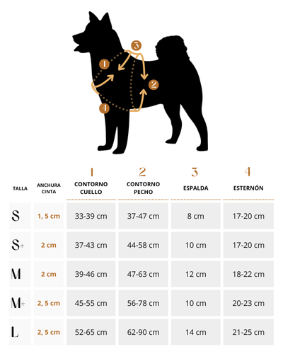 Lovinu sizes Arness H Classic