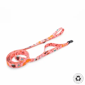 Correa con doble Asa - Muffin Dream