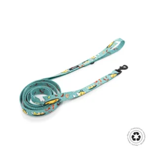 Correa Clasica con Asa - Paella Fantasy