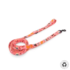 Correa Clasica con Asa - Muffin Dream