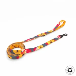 Correa Clasica con Asa - Magic Garden