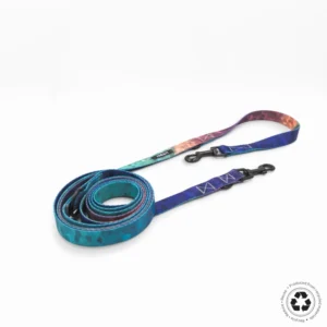 Multiposición - Summer Night