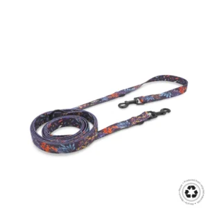 Multiposición - Magic Forest