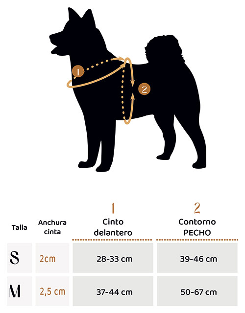 Lovinu sizes Arness Noruego