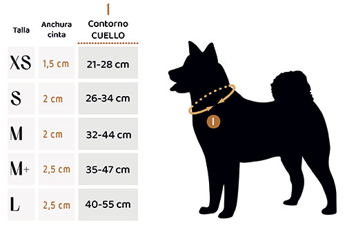 Collares